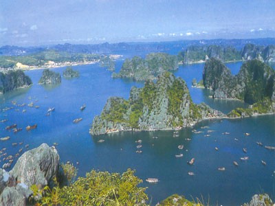 Бухта Халонг – дважды признанный ЮНЕСКО объект всемирного природного наследия - ảnh 1